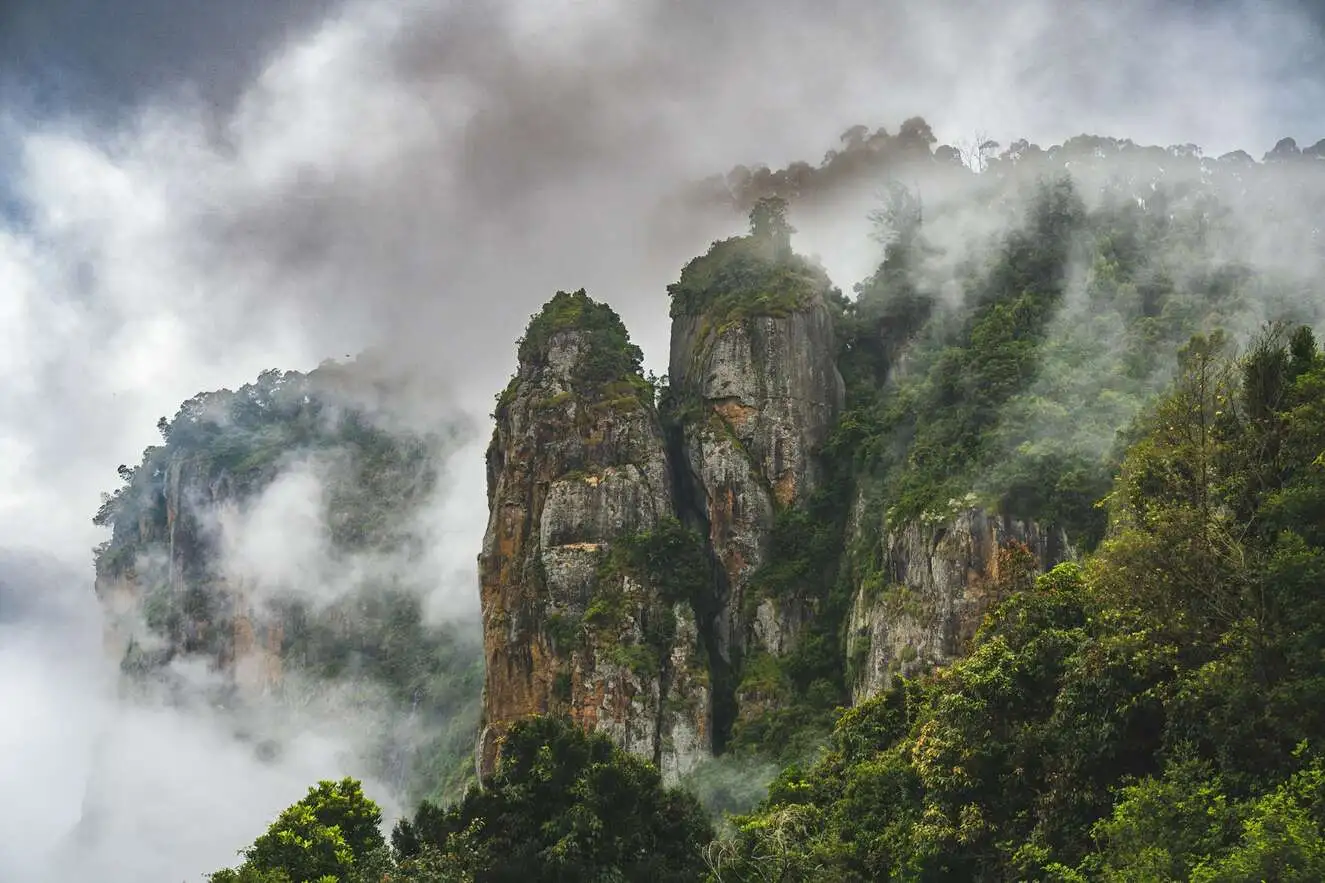 Kodaikanal Budget Local Tour Packages