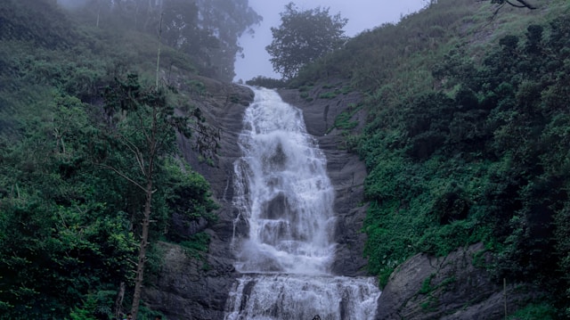 Forest View & Guna Caves Safari